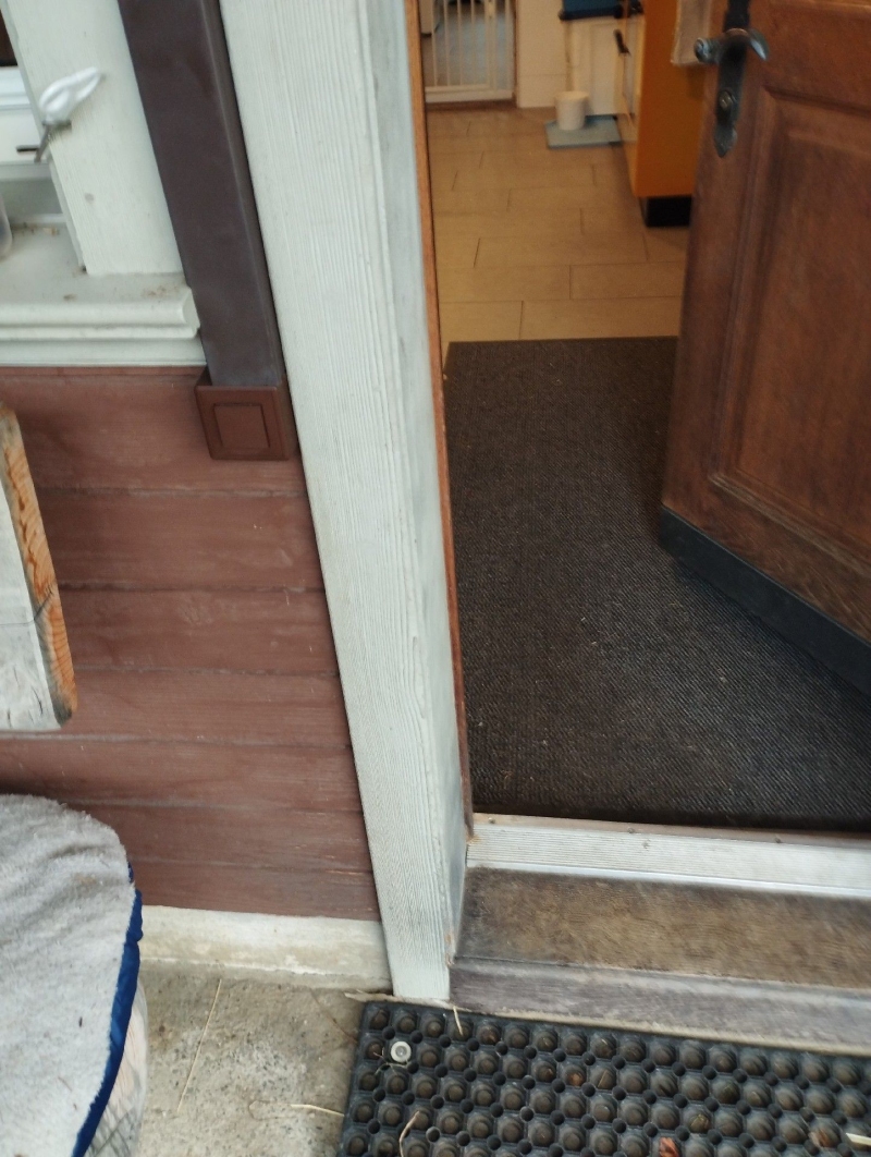 Am Eingang eines Gebaeudes in Rothenfluh lassen Spuren am Boden auf moegliche Ratten hinweisen, was einen Kammerjaeger notwendig machen kann.