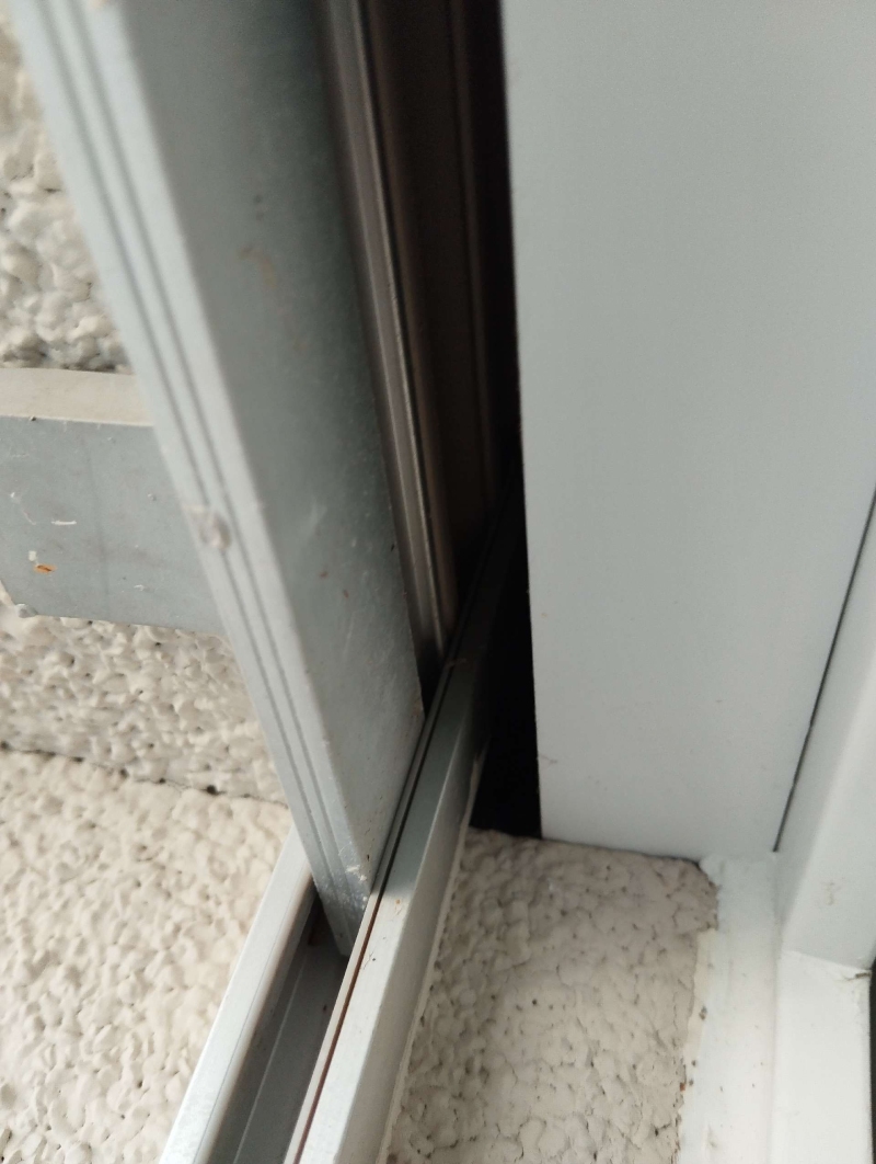 Ein Hornissennest befindet sich im Spalt eines Fensters in Wahlen. Es wird geraten, einen Kammerjäger zu kontaktieren, um das Nest sicher zu entfernen.