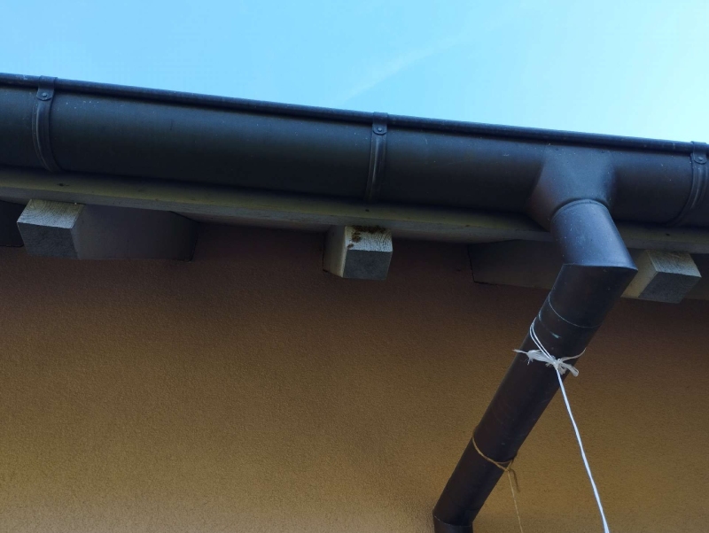 Ein Wespennest befindet sich in Zunzgen an einem Gebäudebereich unter dem Dach. Kammerjäger sollten für die sichere Entfernung hinzugezogen werden.