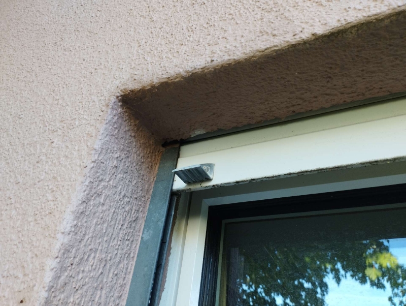 Ein Hornissennest befindet sich in Zunzgen an einer Fensterkante. Es ist ratsam, einen Kammerjäger für die Entfernung zu kontaktieren, um mögliche Gefahren zu vermeiden.