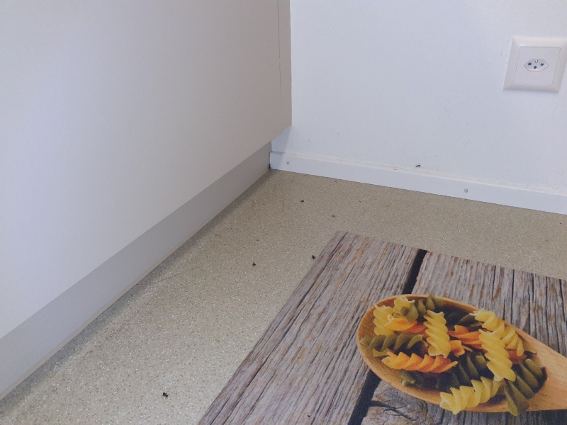 Auf dem Kuechenboden in Liedertswil krabbelnde Ameisen entlang der Sockelleiste koennen einen Kammerjaeger notwendig machen.