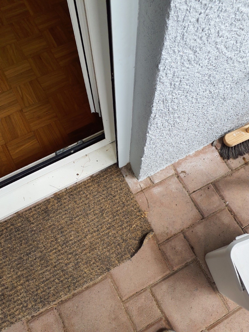 In Zunzgen ist ein Ameisenbefall am Türbereich sichtbar. Eine fachgerechte Bekämpfung durch Kammerjäger sollte erwogen werden, um eine Ausbreitung zu verhindern.